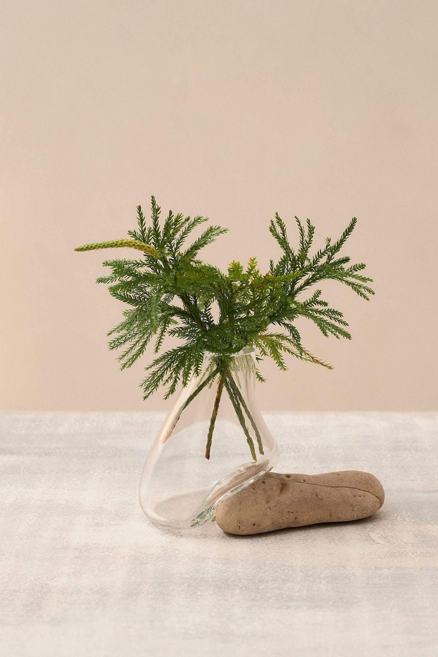 vase，Glass，autumn，Art，