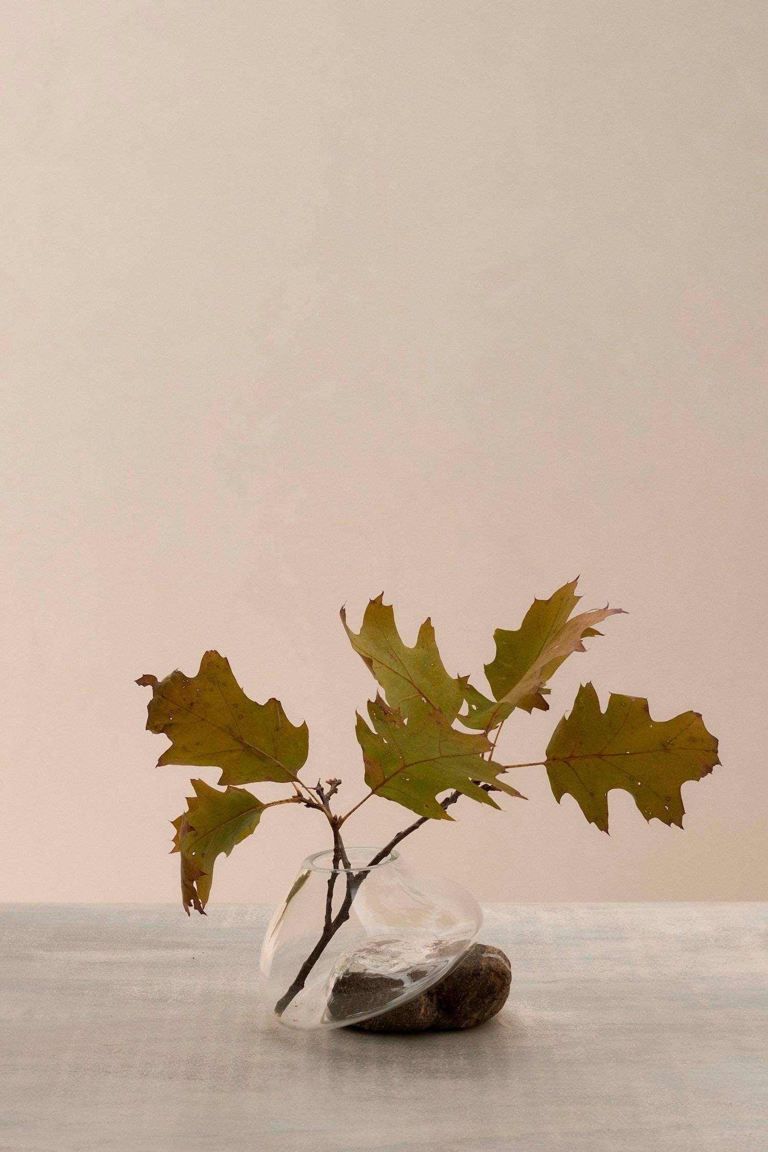 vase，Glass，autumn，Art，