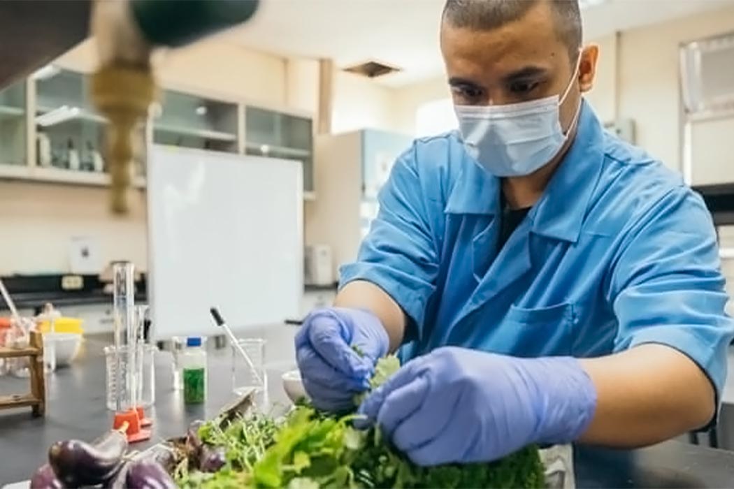 AuREUS，Energy conservation and environmental protection，Waste utilization，it doubts，