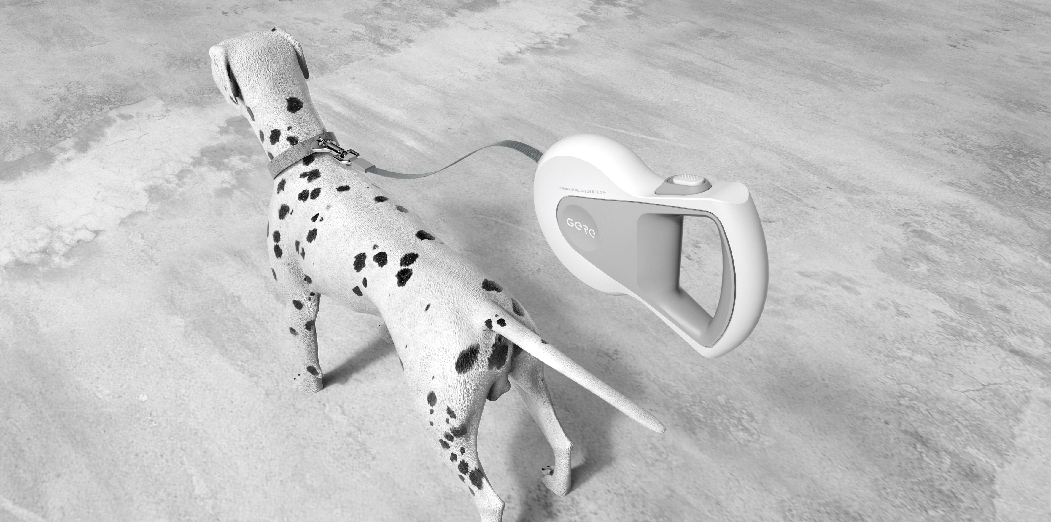 Pets，Traction rope，outdoors，Automatic tractor，Gree industrial design，Ningbo design company，