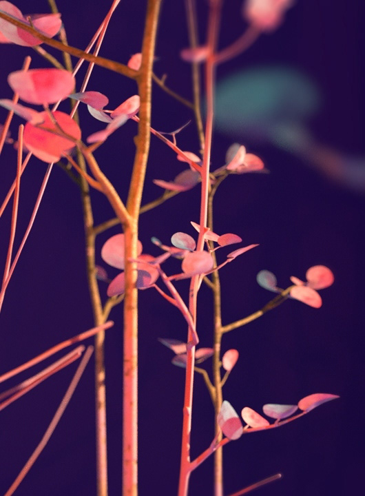 Samsung，Digital art，Minimalism，code，