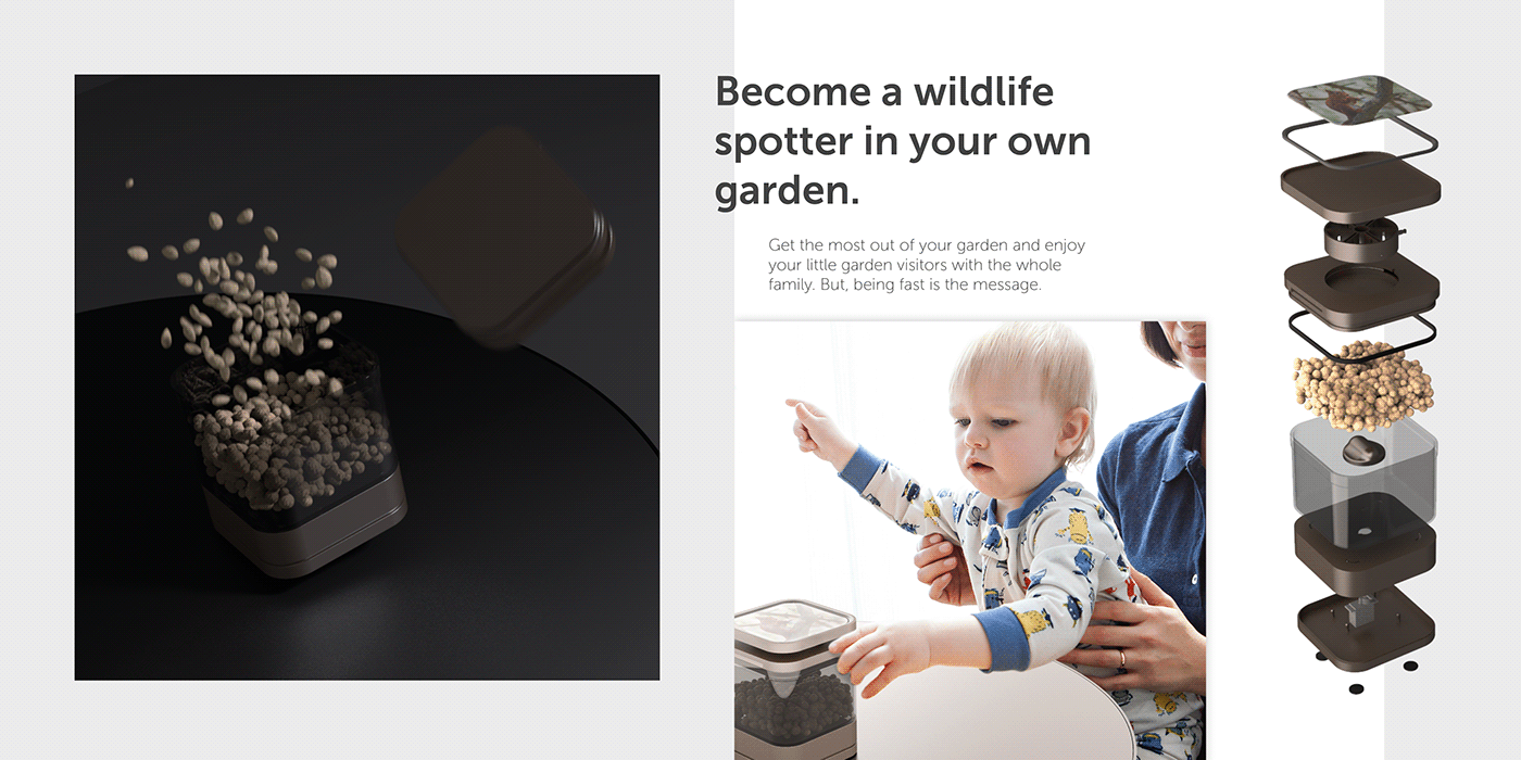 interactive，intelligence，squirrel，user interface，