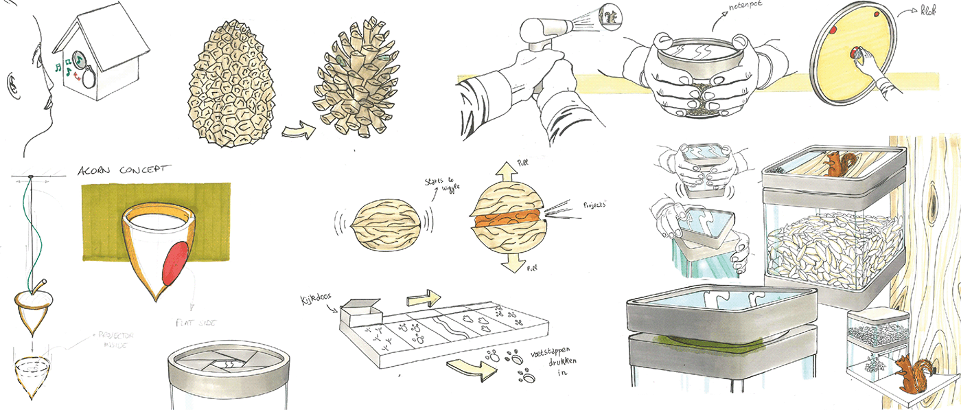 interactive，intelligence，squirrel，user interface，