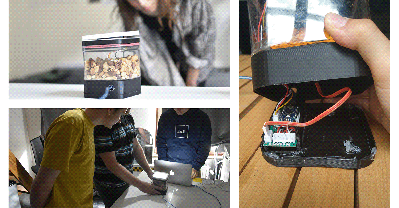 interactive，intelligence，squirrel，user interface，