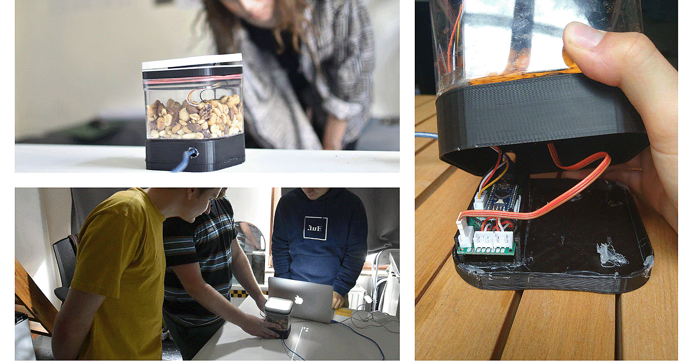 interactive，intelligence，squirrel，user interface，