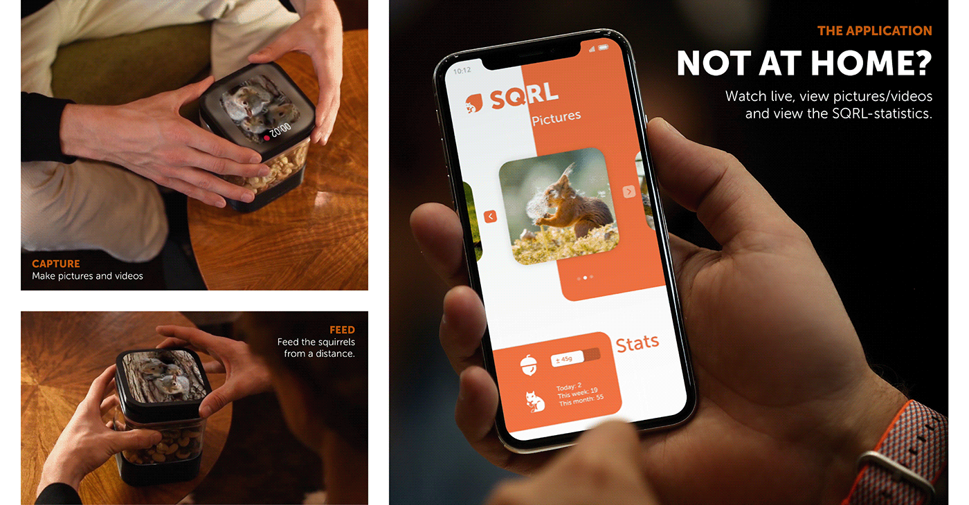 interactive，intelligence，squirrel，user interface，