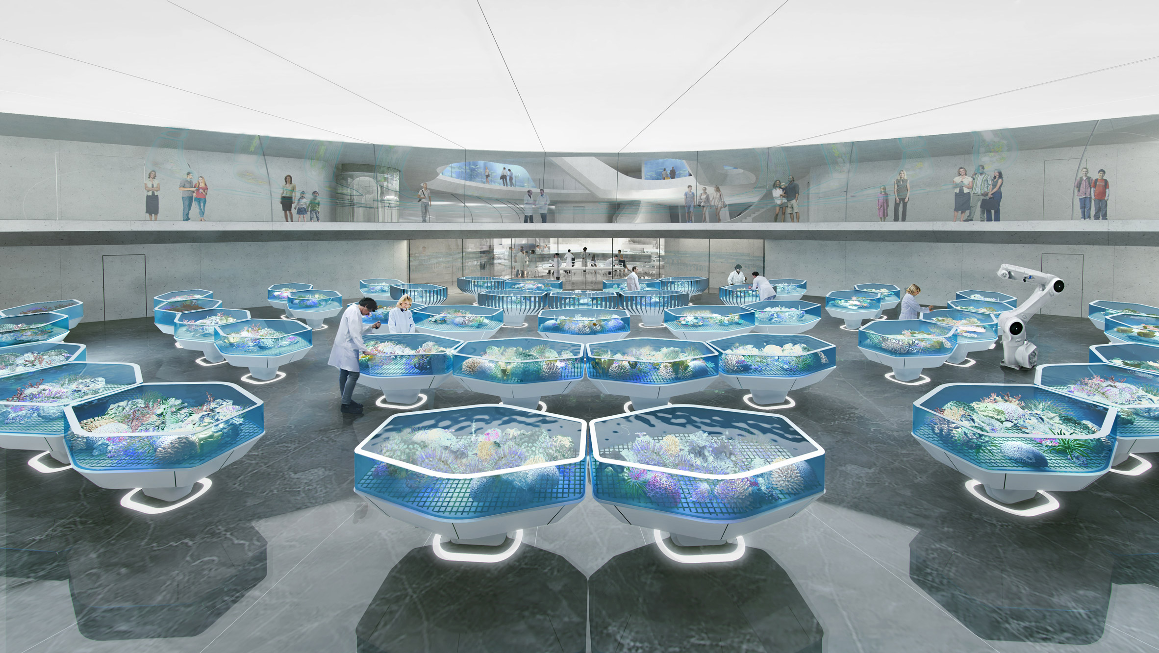 Architecture，Coral，Biobank，concrete，