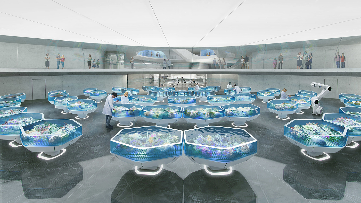 Architecture，Coral，Biobank，concrete，