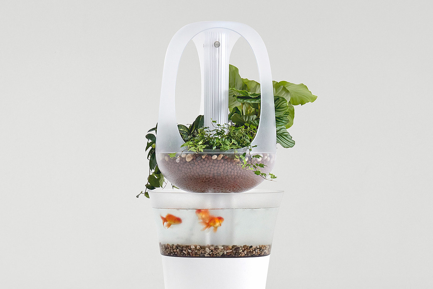 Aquaponics，EVA，Modern compound breeding furniture，product design，
