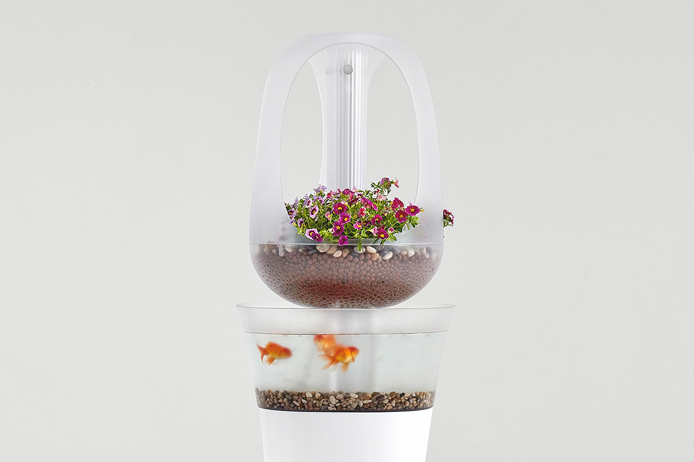 Aquaponics，EVA，Modern compound breeding furniture，product design，