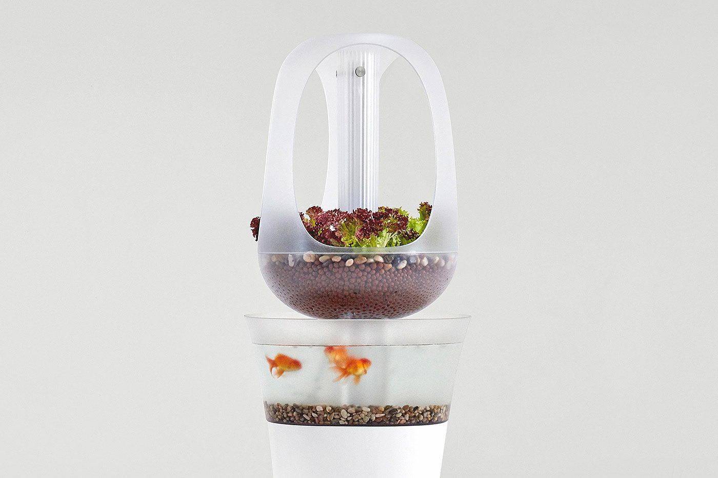 Aquaponics，EVA，Modern compound breeding furniture，product design，
