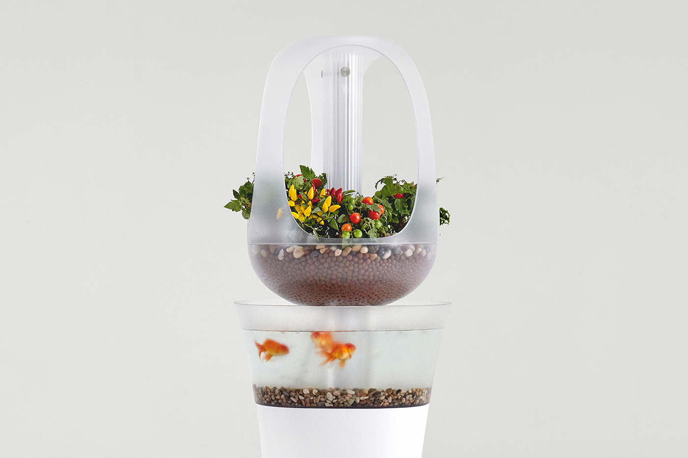 Aquaponics，EVA，Modern compound breeding furniture，product design，