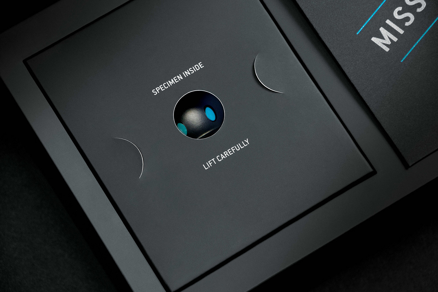 MonkeyTag，mascot，Resin toys，