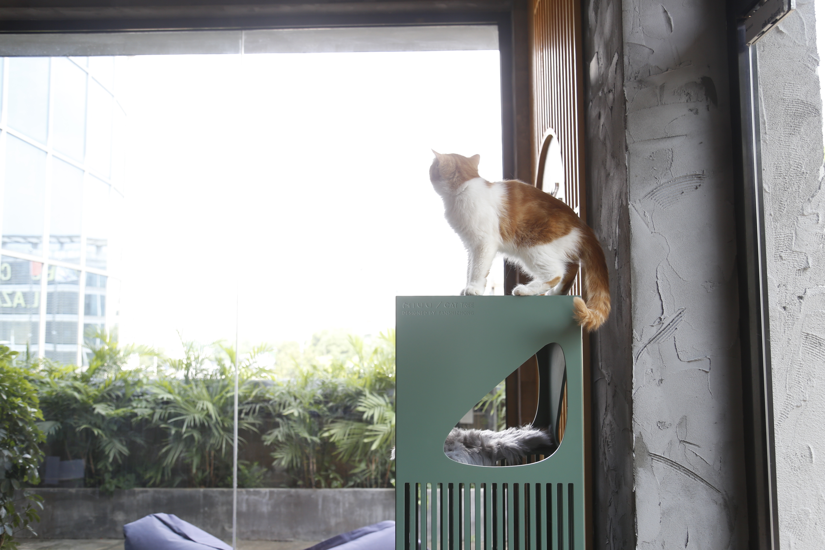 Pet Supplies & Pet，Design aesthetics，Cat products，Cat climbing frame，Meow star man，if，red dot，Fan Shizhong，