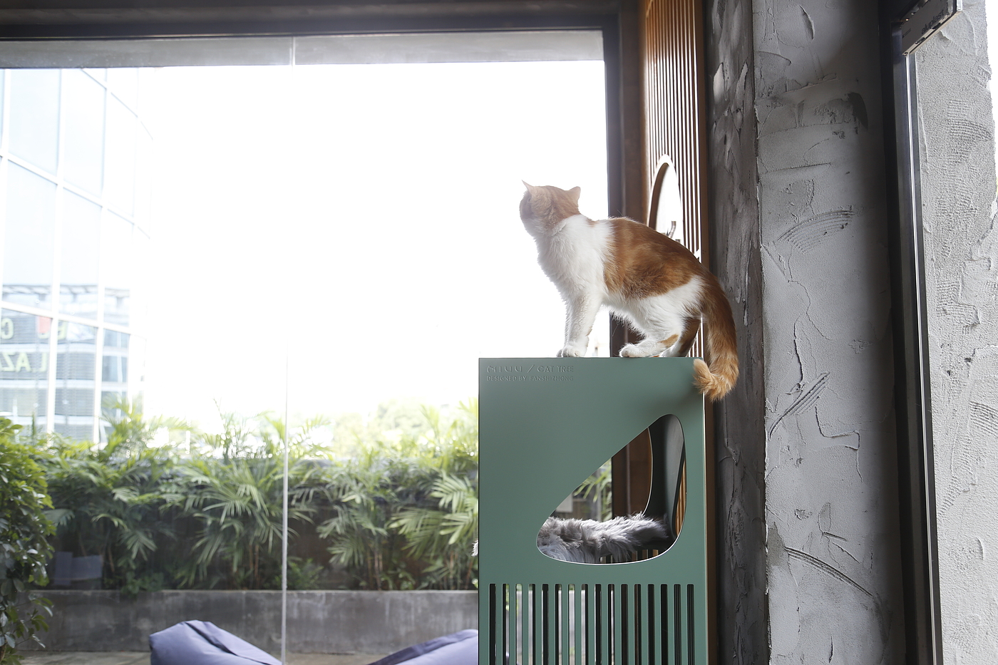 Pet Supplies & Pet，Design aesthetics，Cat products，Cat climbing frame，Meow star man，if，red dot，Fan Shizhong，