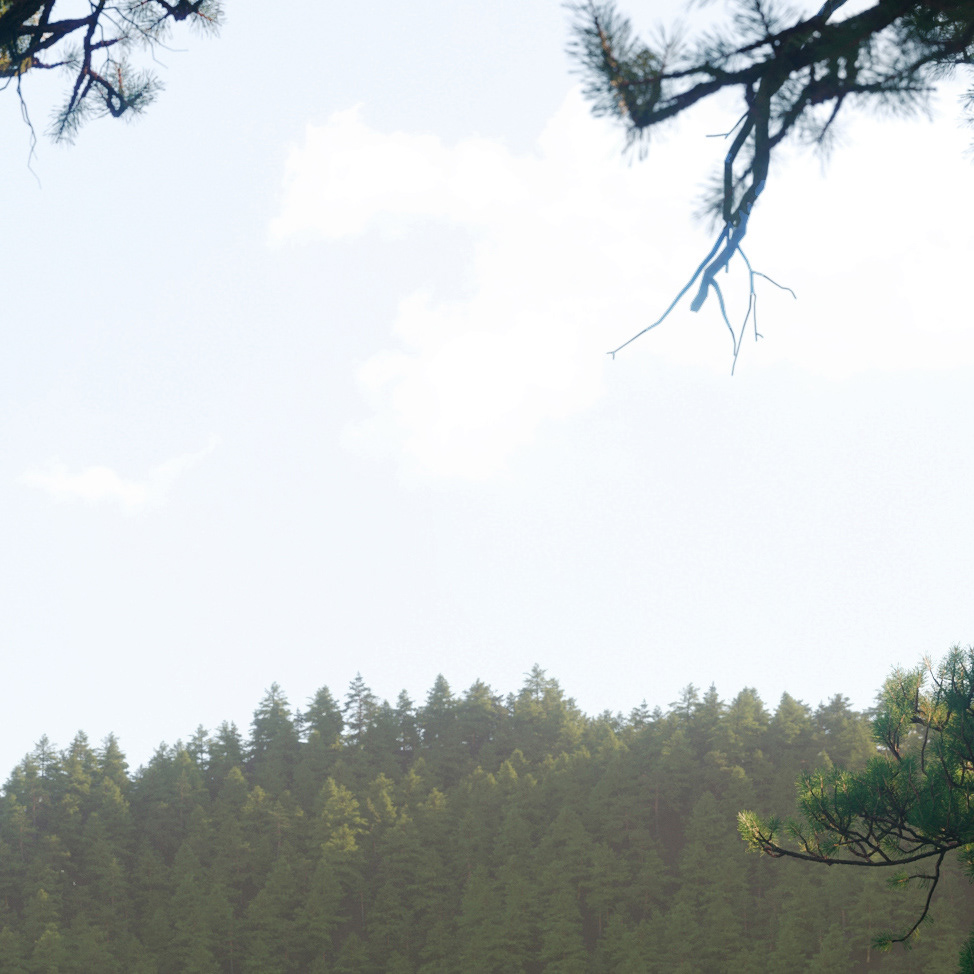 residence，visualization，on vacation，