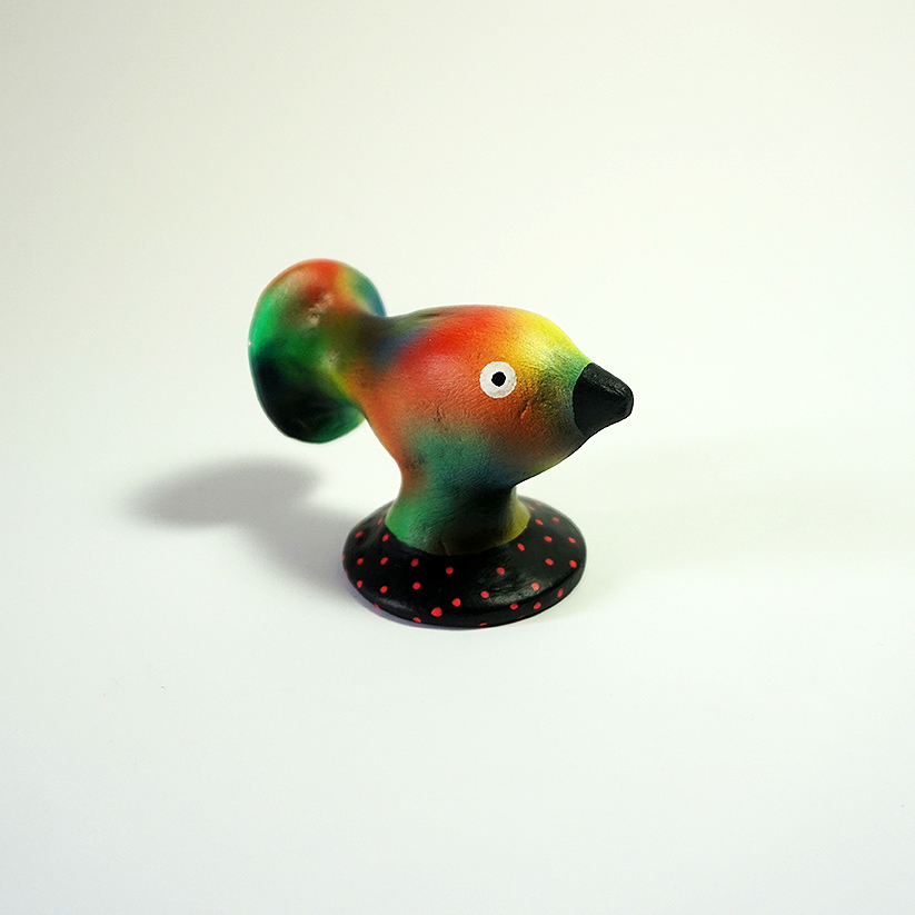 Birds of Paradise，Character design，Role design，bird，illustration，