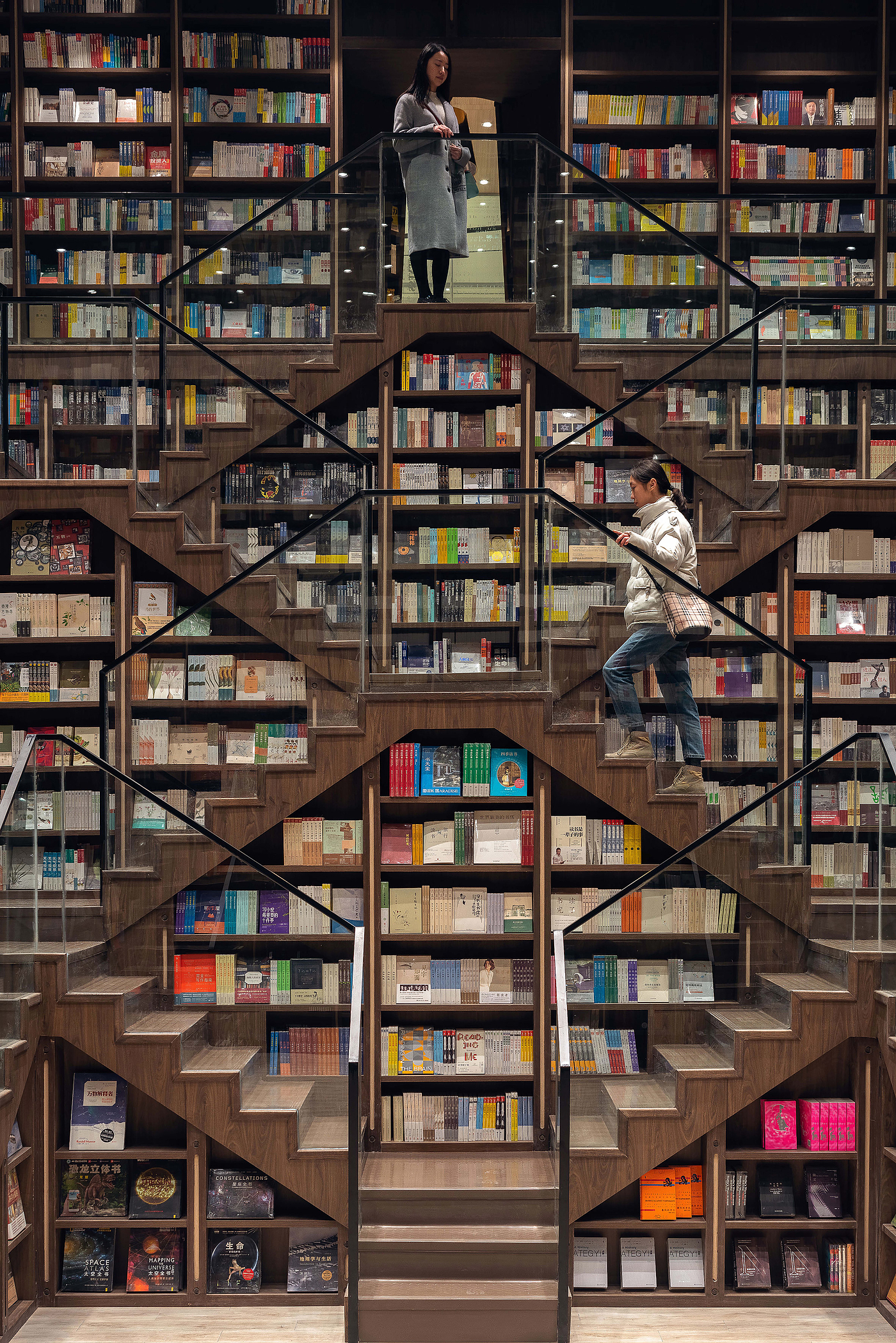 Bookstore，ladder，Shuge，Chongqing，