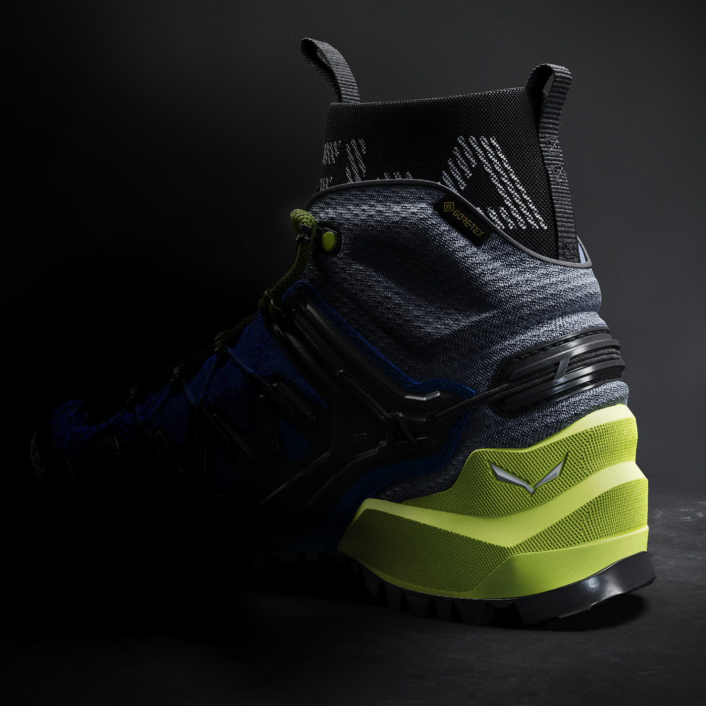 Salewa，three-dimensional model，Hiking shoes，