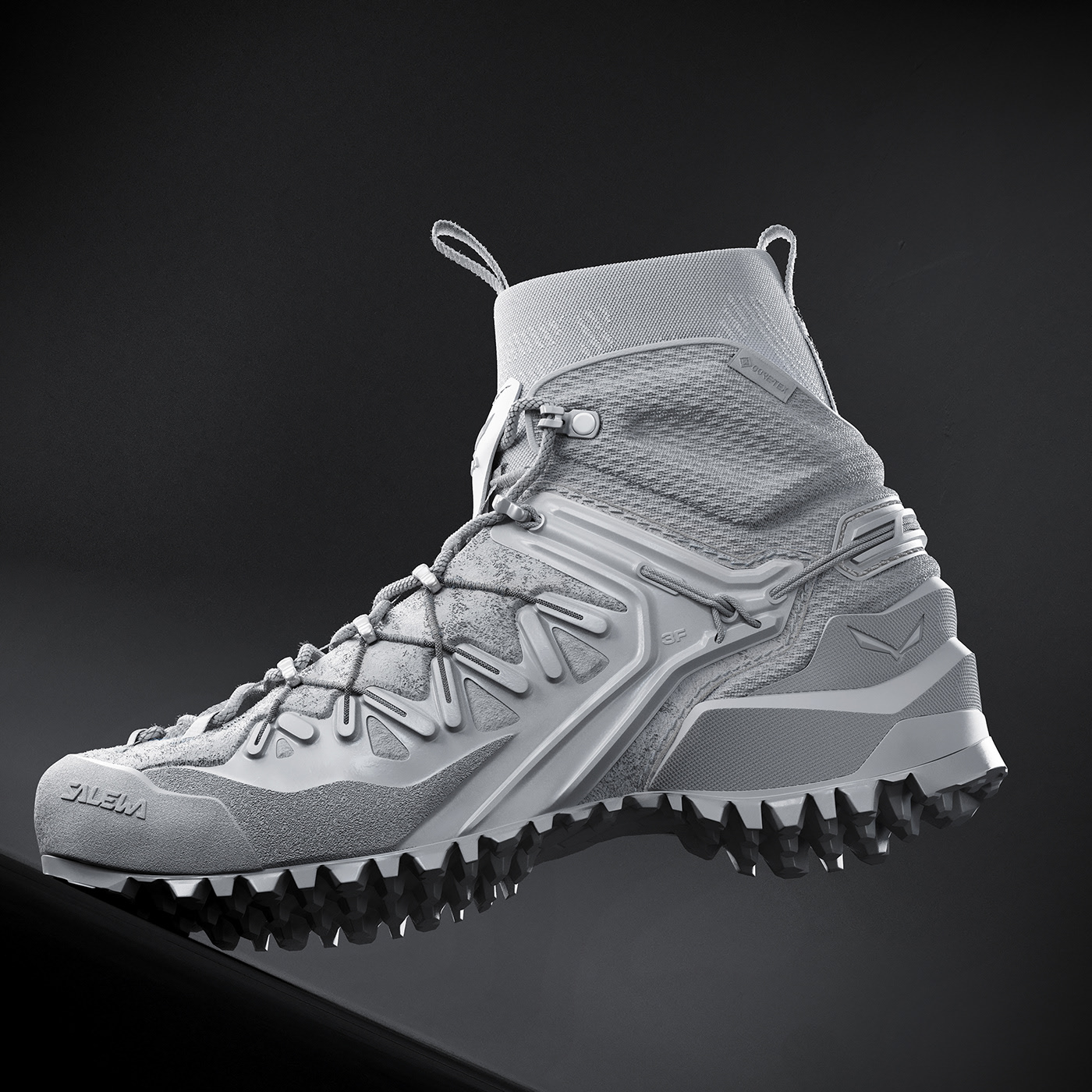Salewa，three-dimensional model，Hiking shoes，