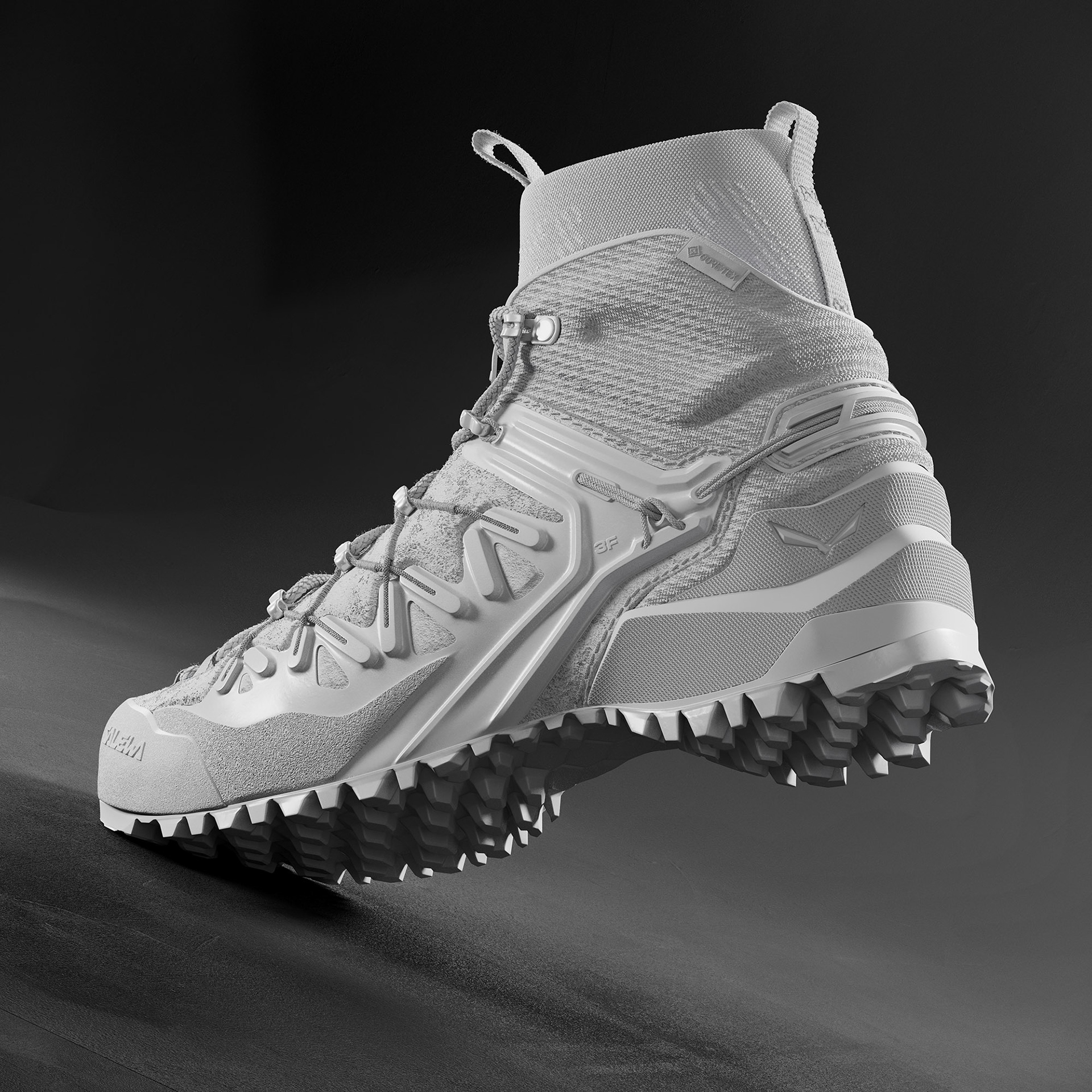 Salewa，three-dimensional model，Hiking shoes，