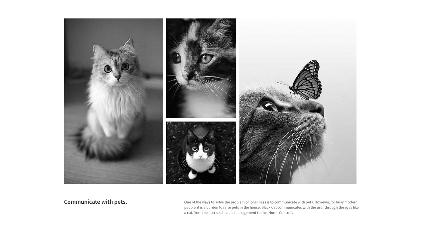 Apple cat，Smart home controller，industrial design，Digital product design，Comfort the soul，Voice partner，