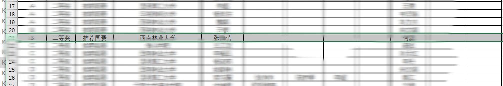 Plagiarism Report，