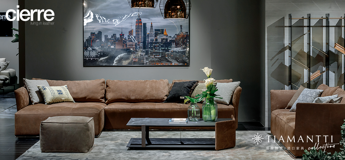 Living room coffee table，