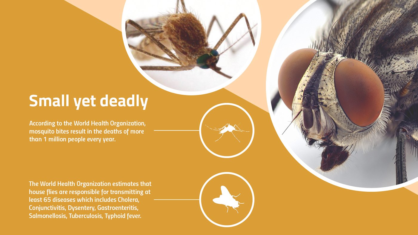 Insect catcher，Mosquito killing lamp，Tool design，industrial design，