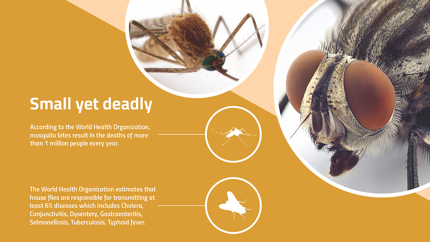 Insect catcher，Mosquito killing lamp，Tool design，industrial design，
