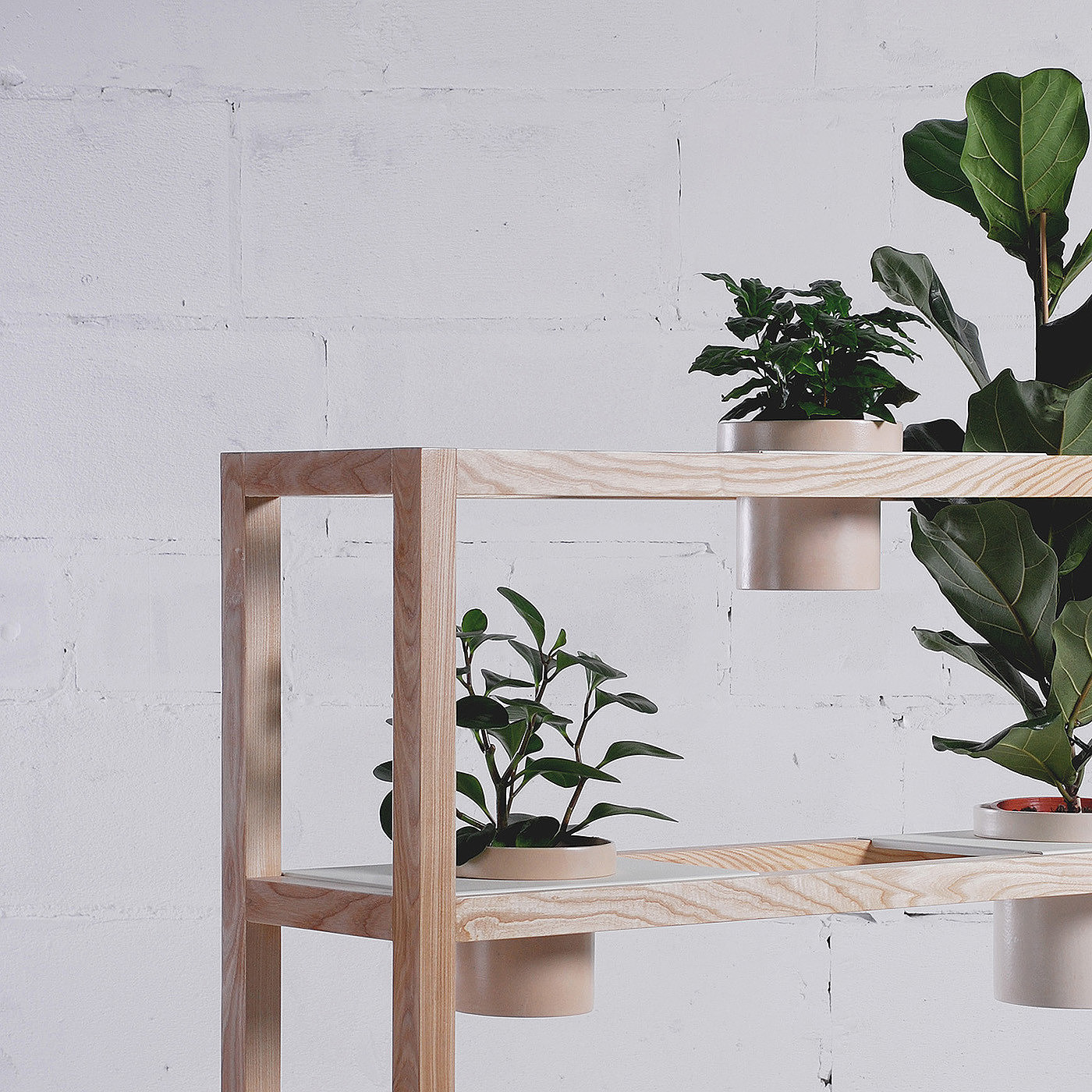 pretty，suspension，Pot picking，Shelf，furniture design ，industrial design，