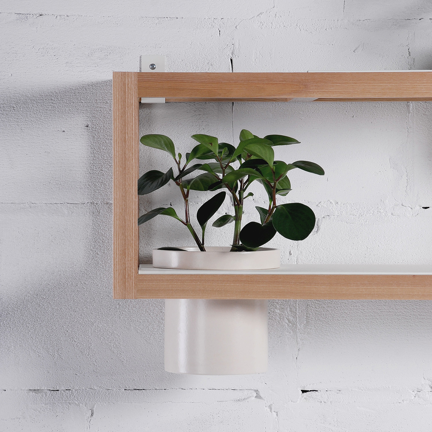 pretty，suspension，Pot picking，Shelf，furniture design ，industrial design，