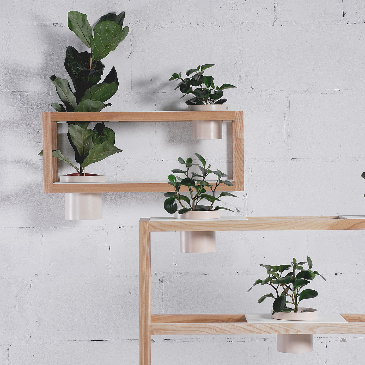 pretty，suspension，Pot picking，Shelf，furniture design ，industrial design，