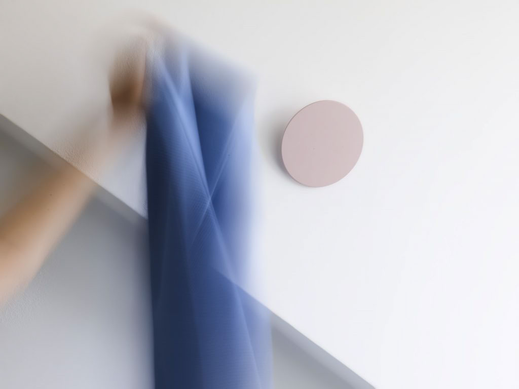 a hook，disk，hide，