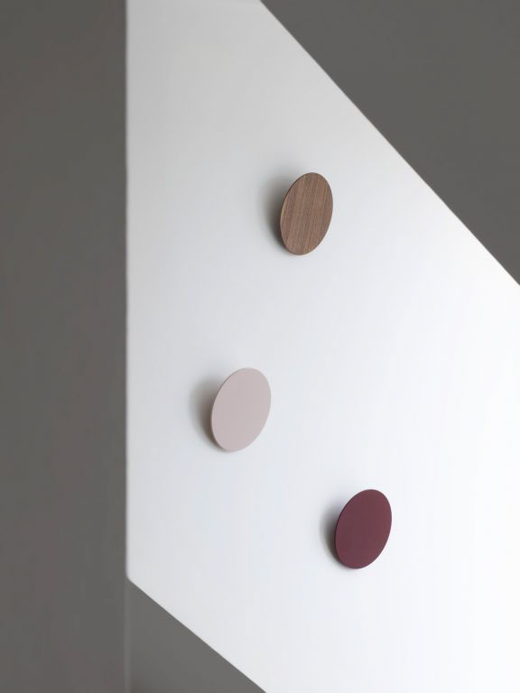 a hook，disk，hide，