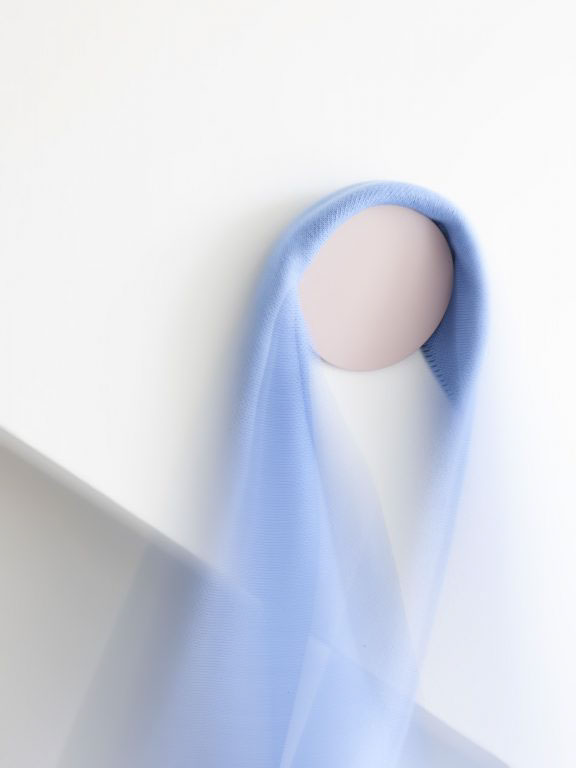 a hook，disk，hide，