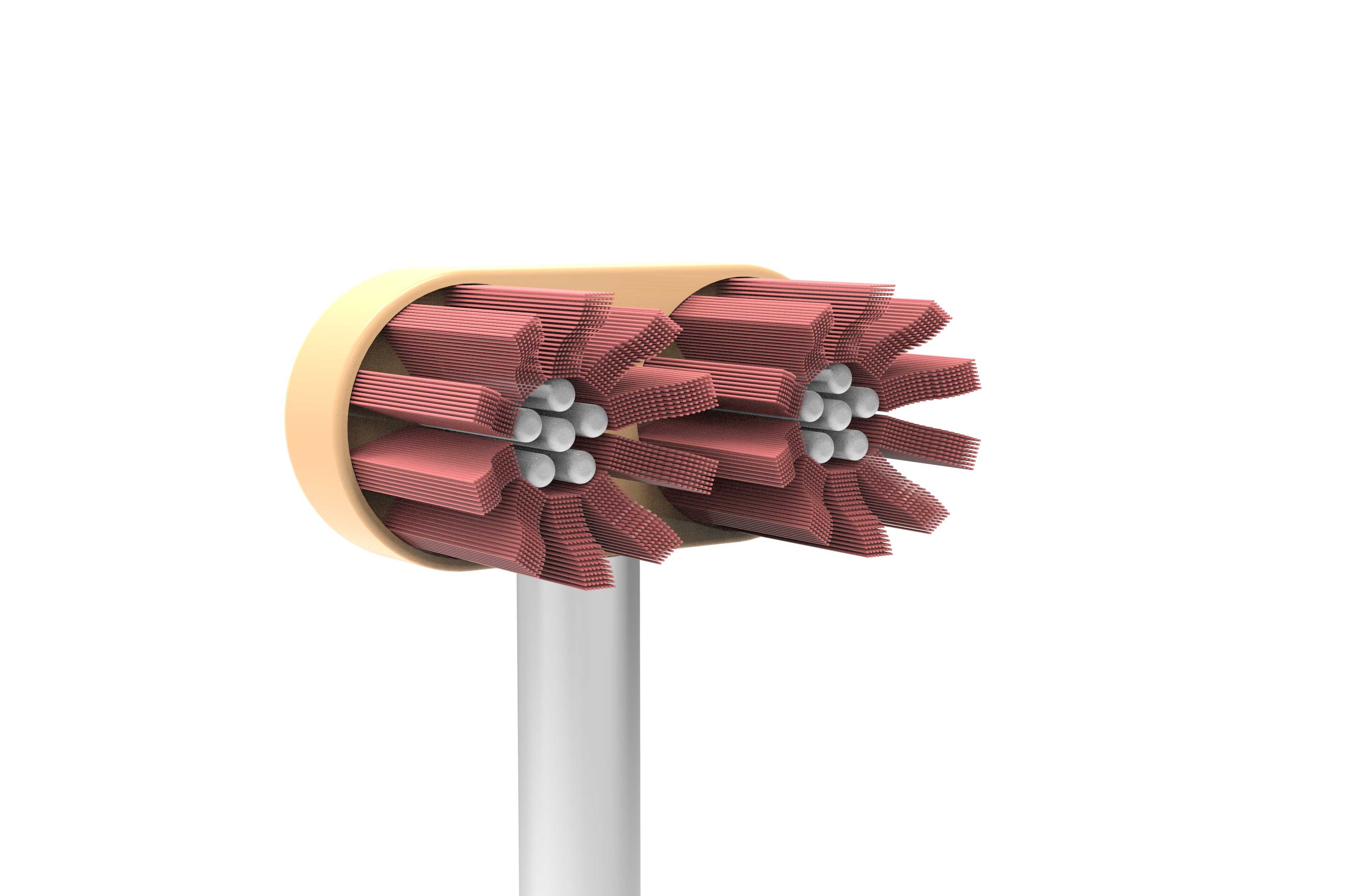 Since then, the concept of brushing teeth has changed，