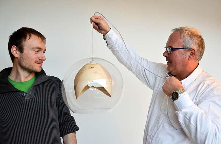 lamps and lanterns，Wood carving，Glass，