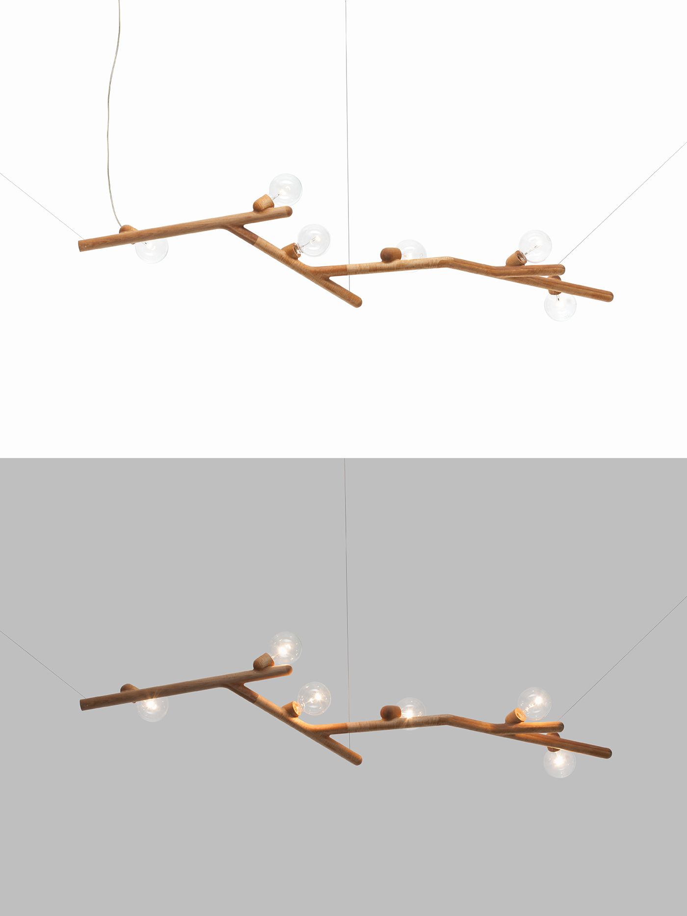 electric light，lamps and lanterns，fruit，branch，Interesting，originality，industrial design，