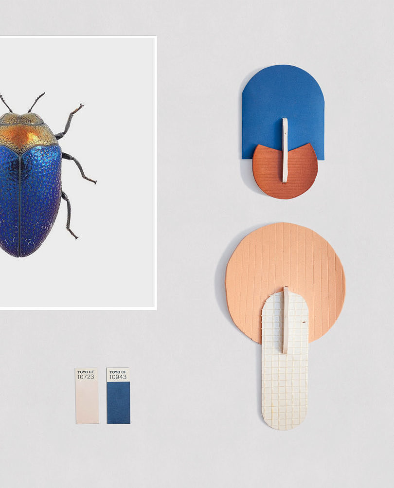 Suction plate，Bionics Design ，product design，industrial design，beetle，