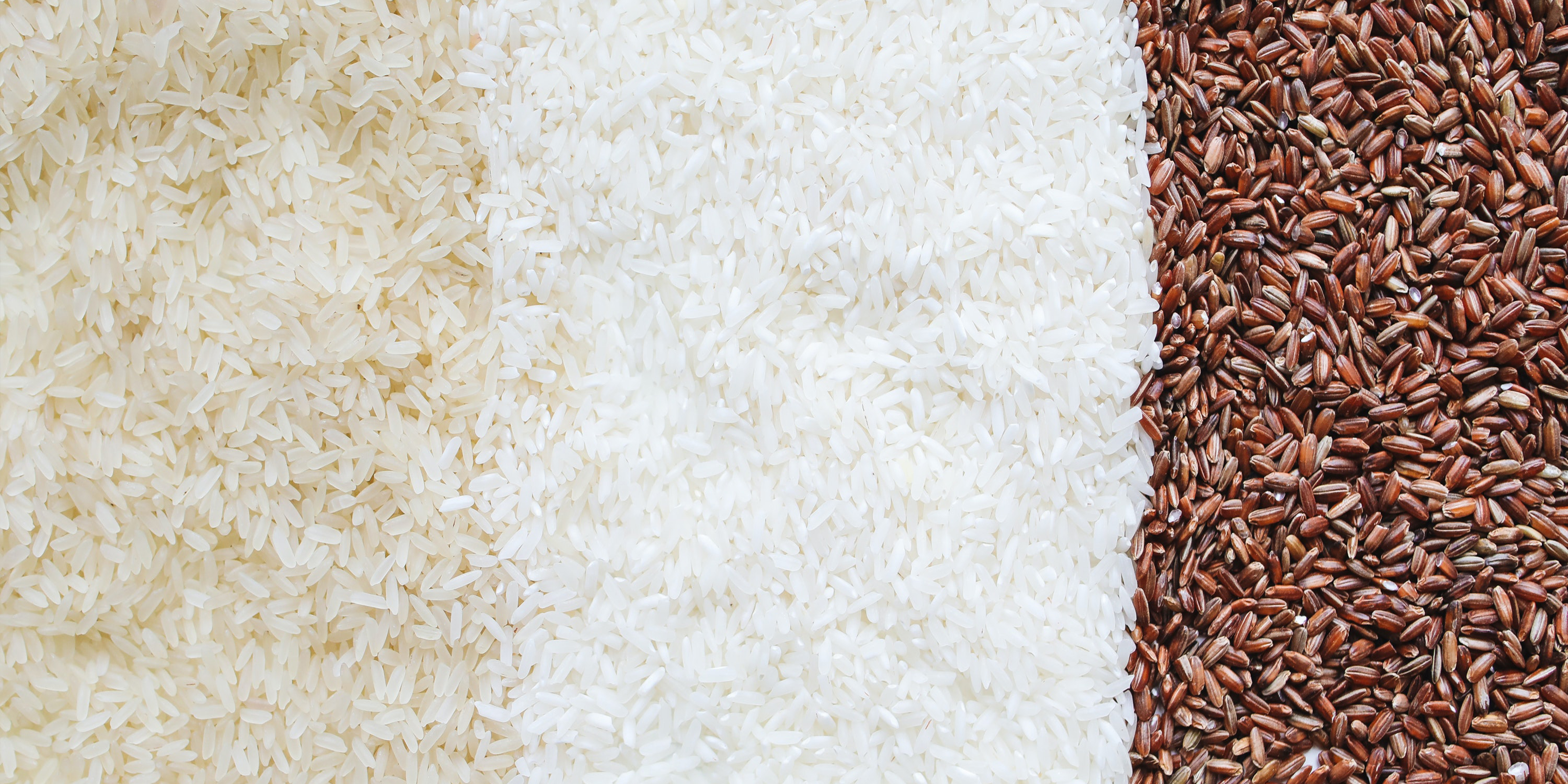 White products，Rice bucket，Minimalist design ，