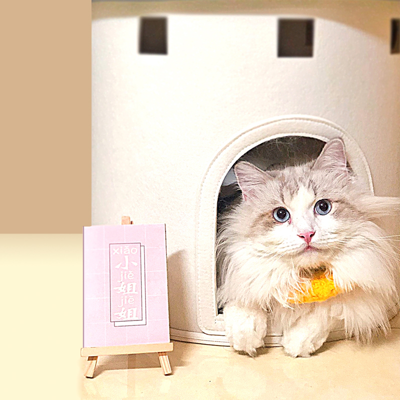 Pet nest，Cat nest，Windmill cat nest，