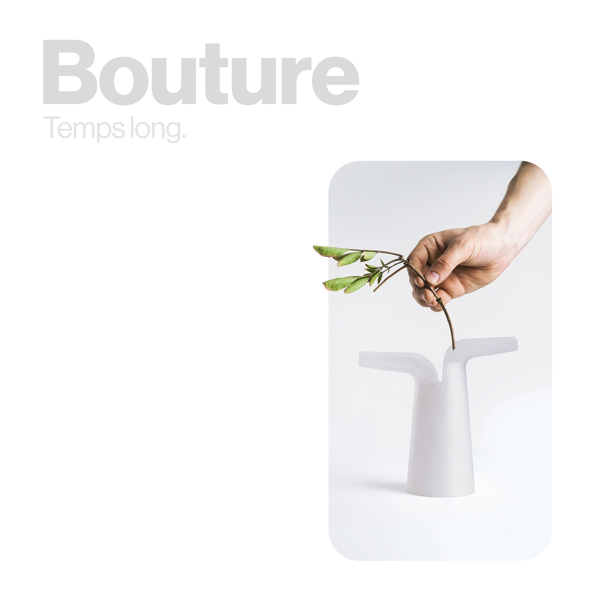 Plants and time，A tool，Define new creatures，