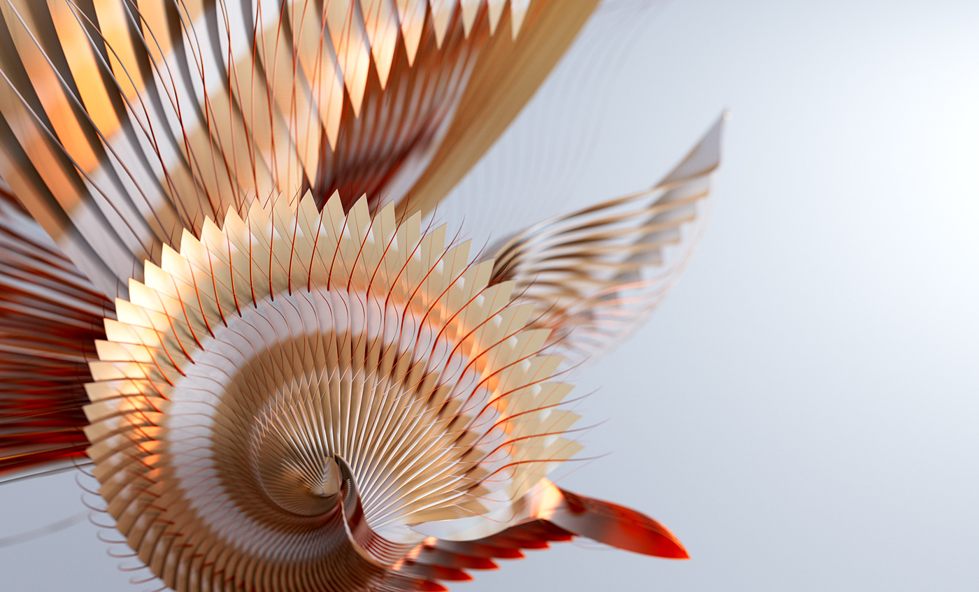 Bird of Paradise，c4d，animation，originality，Digital art，
