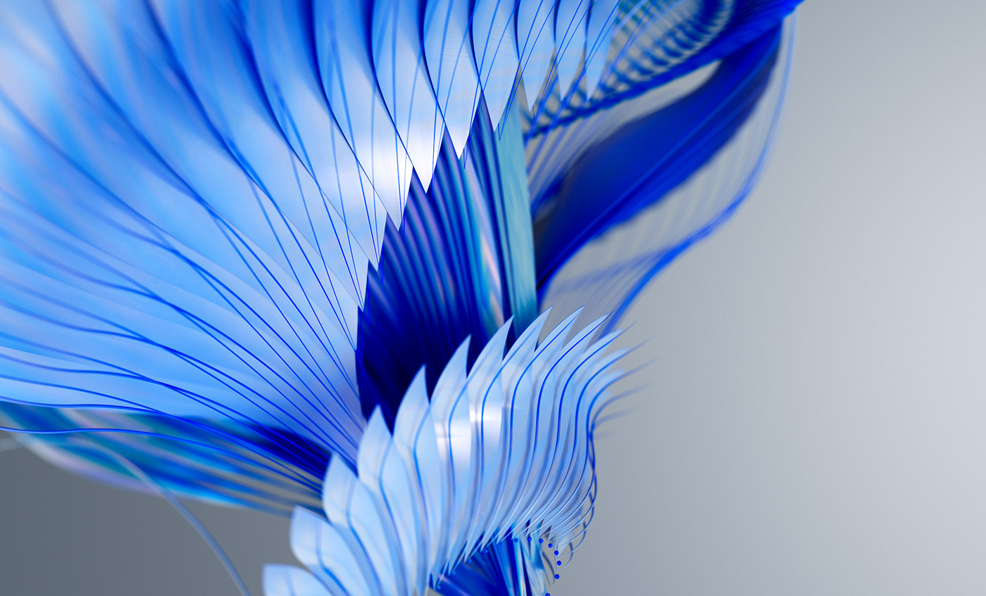 Bird of Paradise，c4d，animation，originality，Digital art，