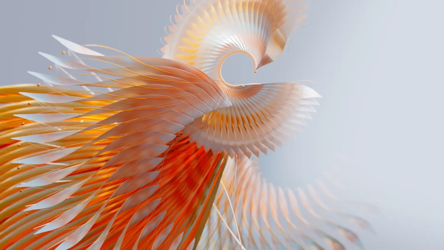 Bird of Paradise，c4d，animation，originality，Digital art，