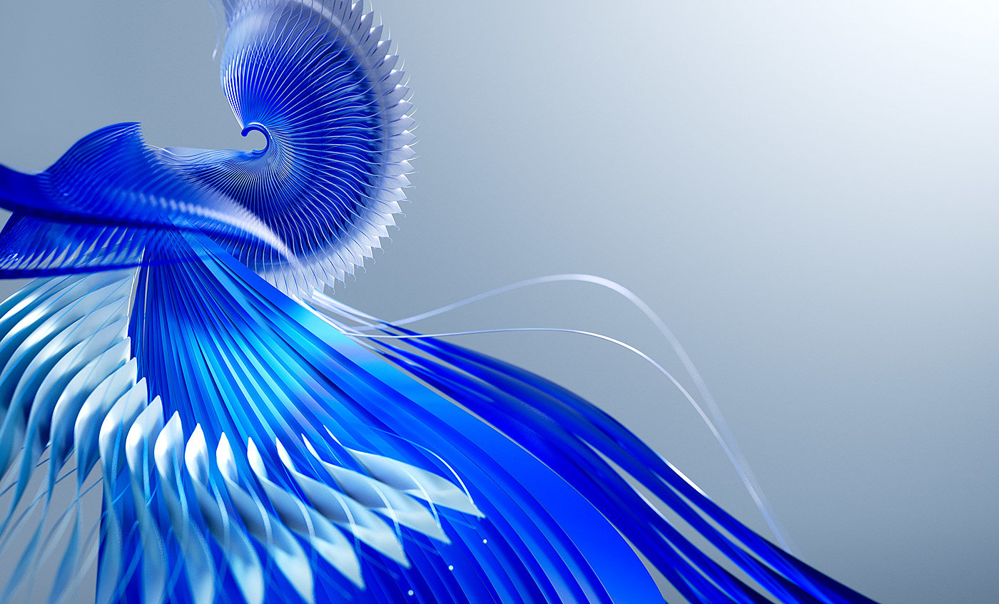 Bird of Paradise，c4d，animation，originality，Digital art，
