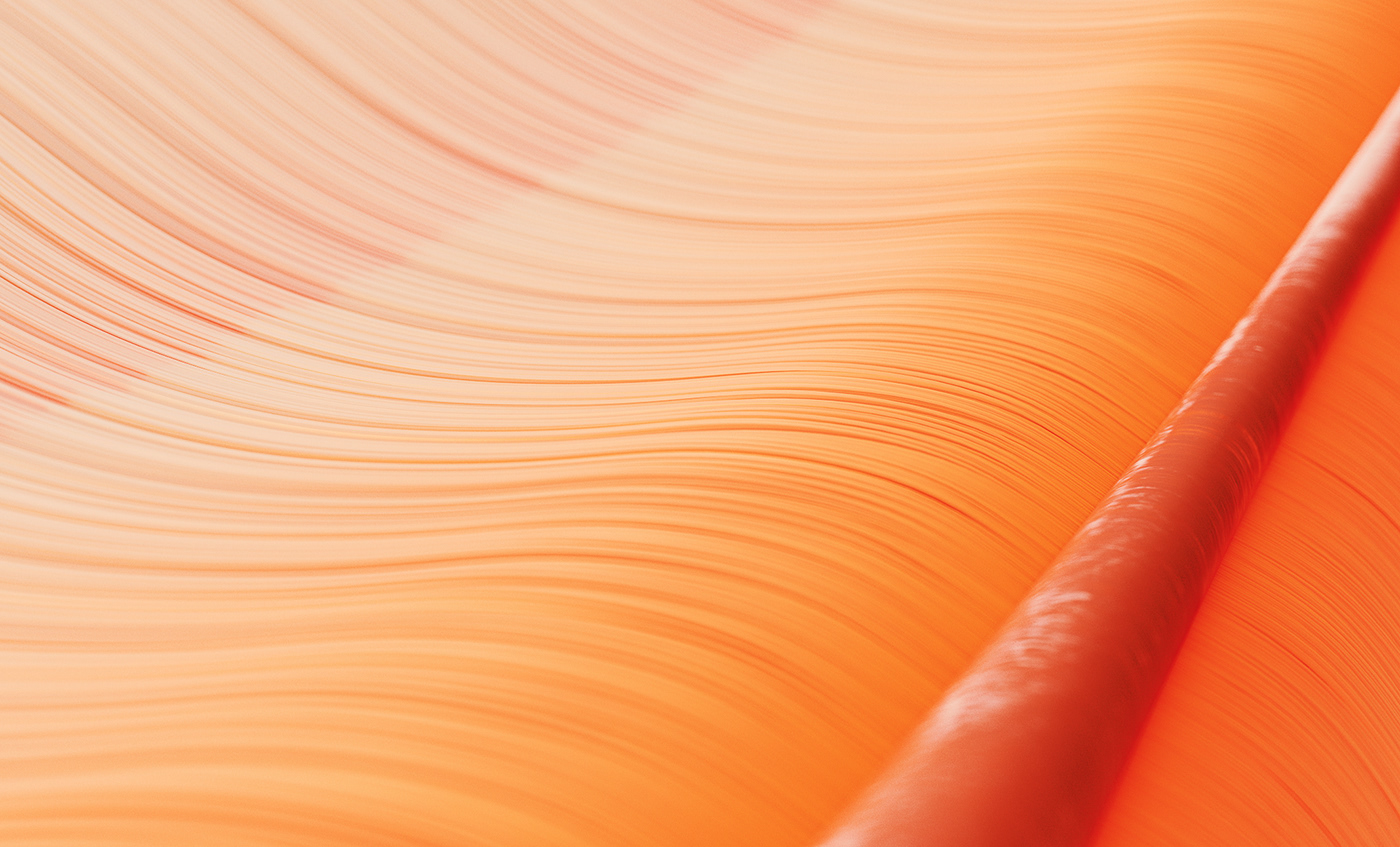 Bird of Paradise，c4d，animation，originality，Digital art，