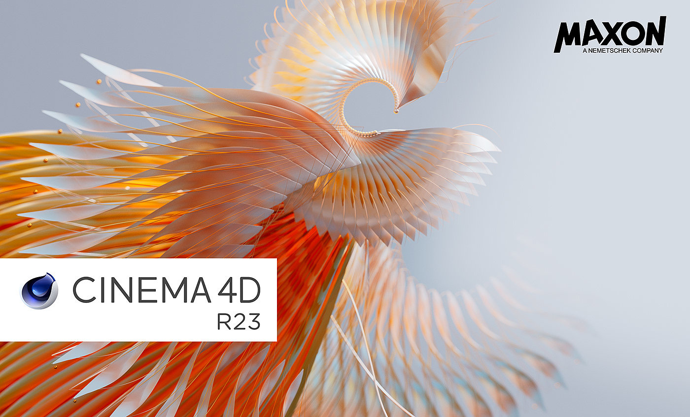 Bird of Paradise，c4d，animation，originality，Digital art，