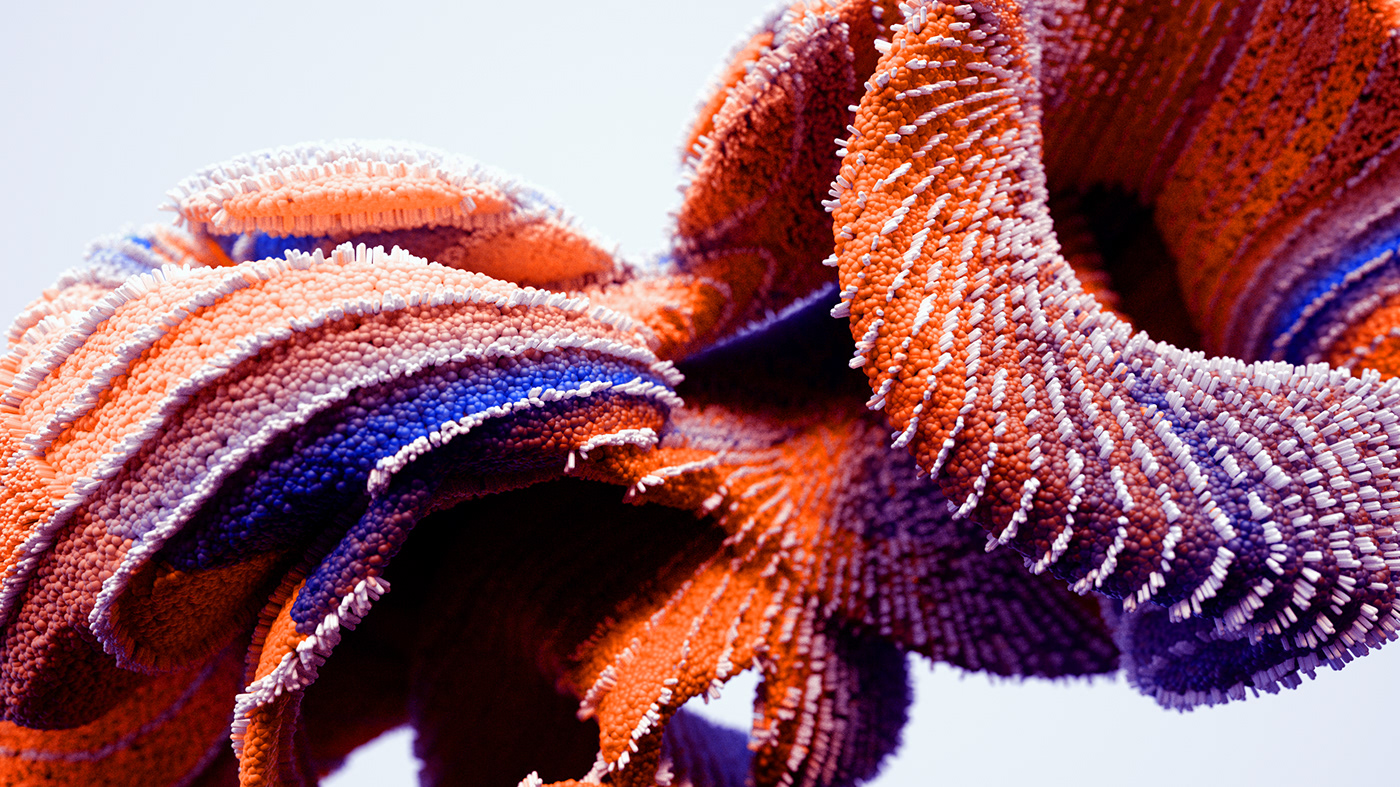 Bird of Paradise，c4d，animation，originality，Digital art，